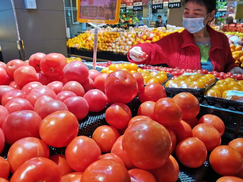 深圳強化食用農產品質量安全監管 批發市場月快檢900次，筑牢全鏈條安全防線